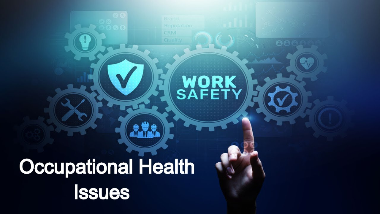 What Are The Best Assessment Of Occupational Health Practices?